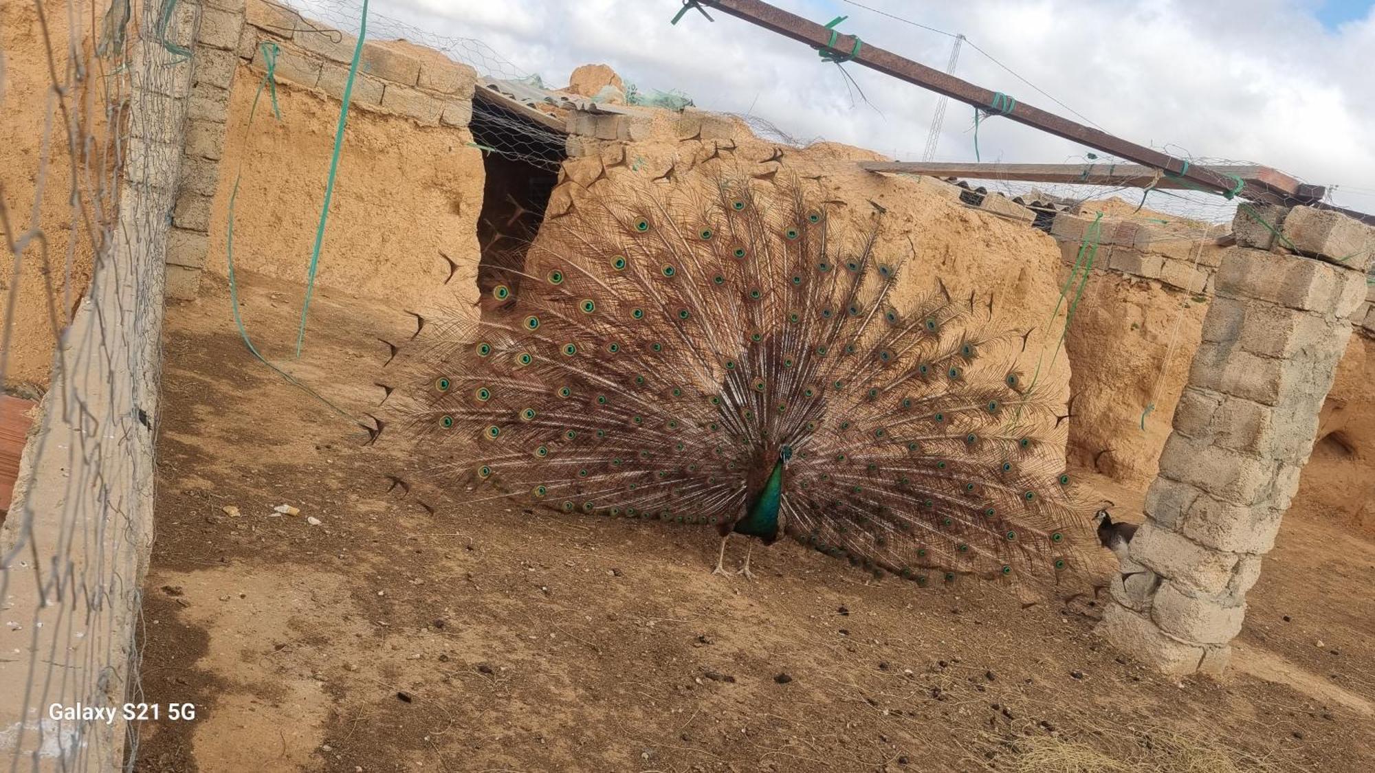 Maison D'Hote Dar Massouada Toujane Kültér fotó