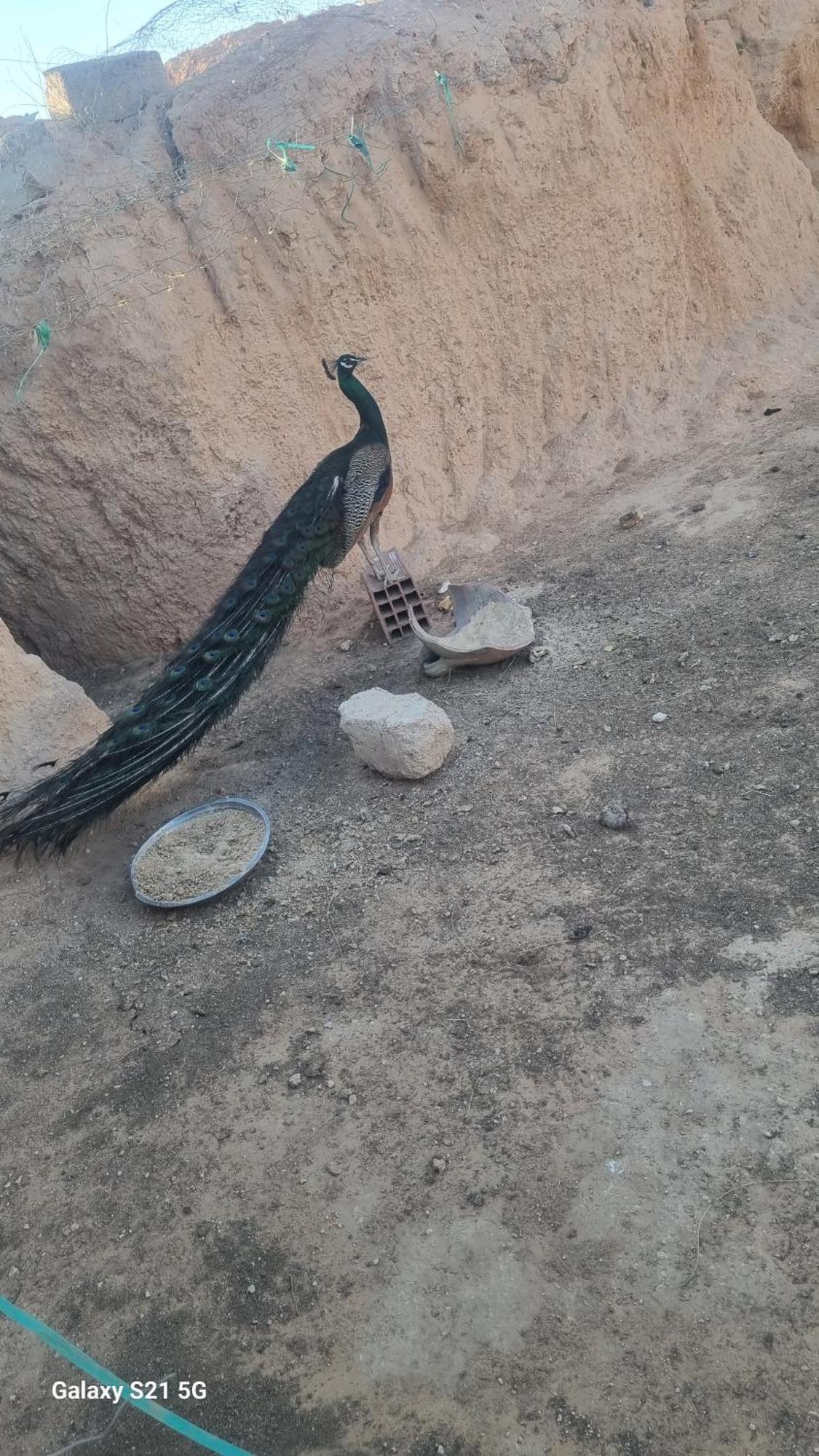 Maison D'Hote Dar Massouada Toujane Kültér fotó